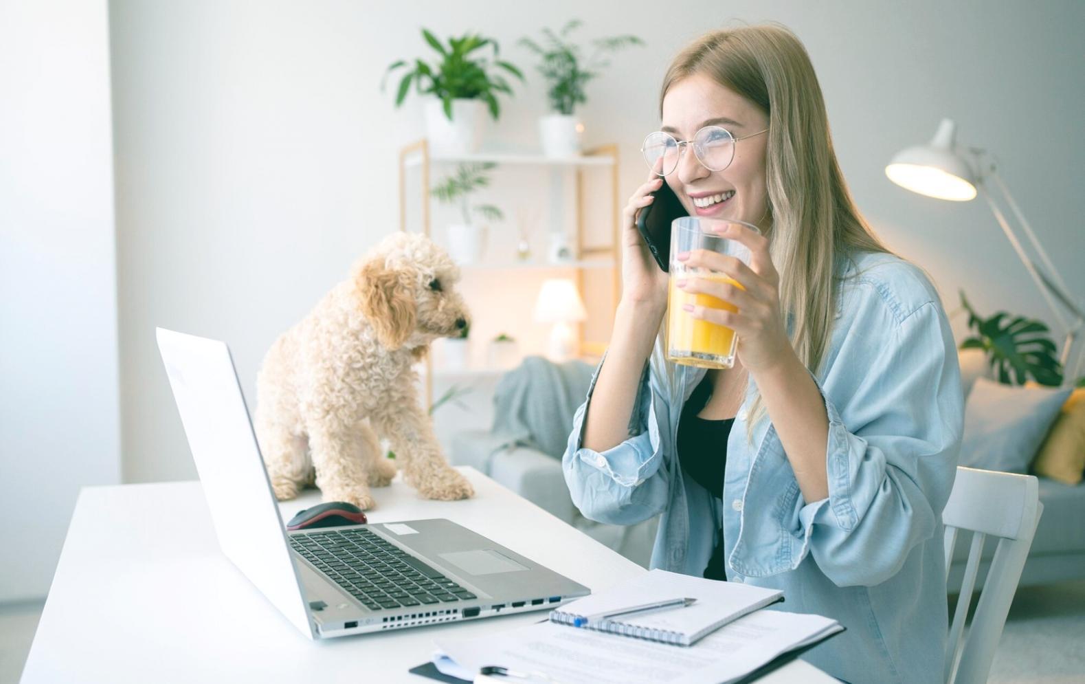 Espacio de trabajo profesional para webinars de SEO técnico